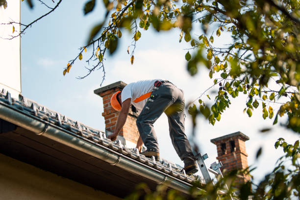 Best Roof Gutter Cleaning  in Caldwell, OH