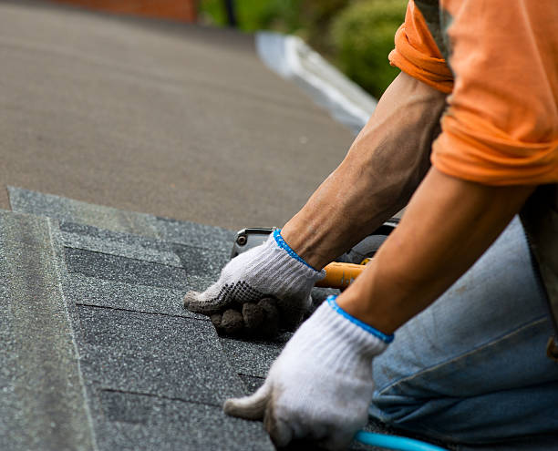 Best Roof Maintenance Services  in Caldwell, OH