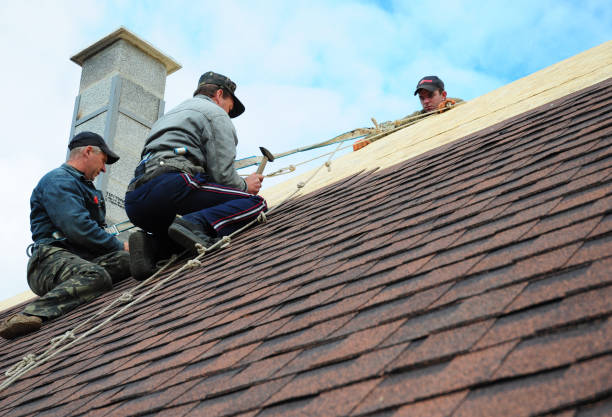 Gutter Installation and Roofing in Caldwell, OH